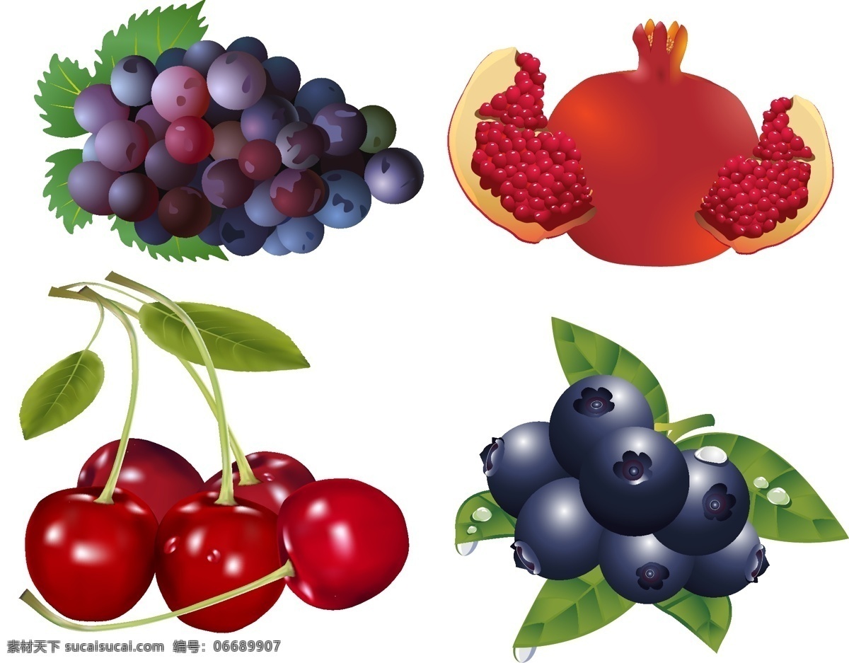 水果失量图 水果 葡萄 石榴 樱桃 蓝莓 失量 红色 紫色 蓝色 眼睛 美容 养颜 抗衰老 白色