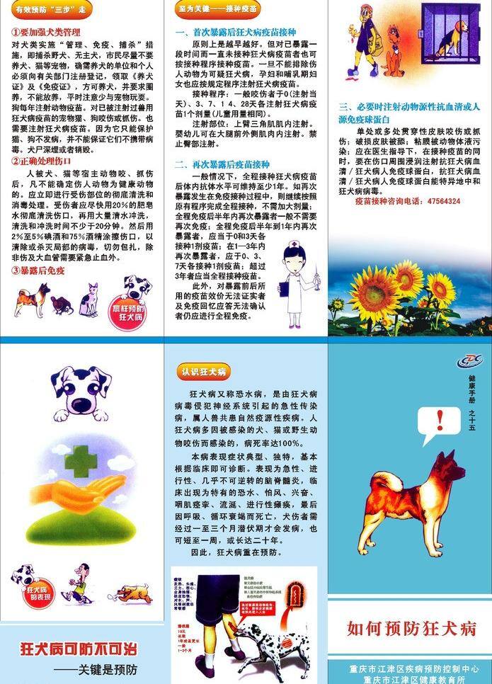 狂犬病 预防 广告 三折页 印刷 狂犬病预防 预防疾控 矢量