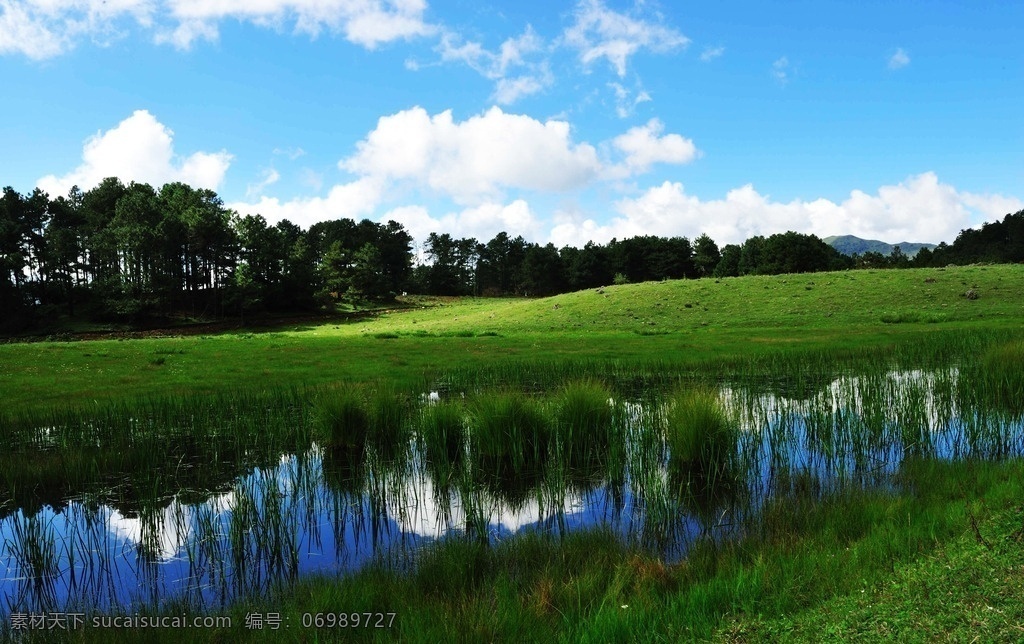 草地 草原 牧场 天然牧场 蓝天 碧水蓝天 蓝天白云 自然景观 自然风景