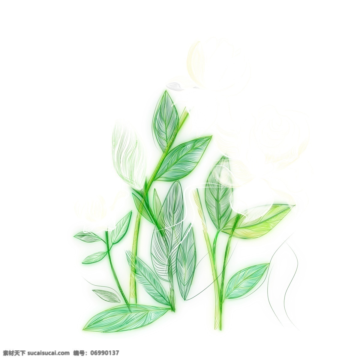 唯美 白色 栀子花 插画 元素 手绘 卡通 植物 花卉