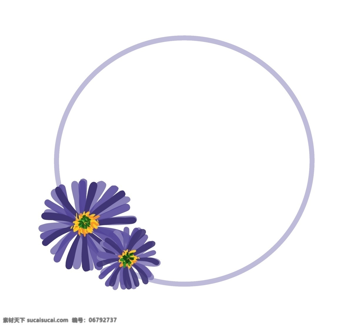 手绘 紫色 小雏 菊 边框 雏菊 花卉 花朵 小清新