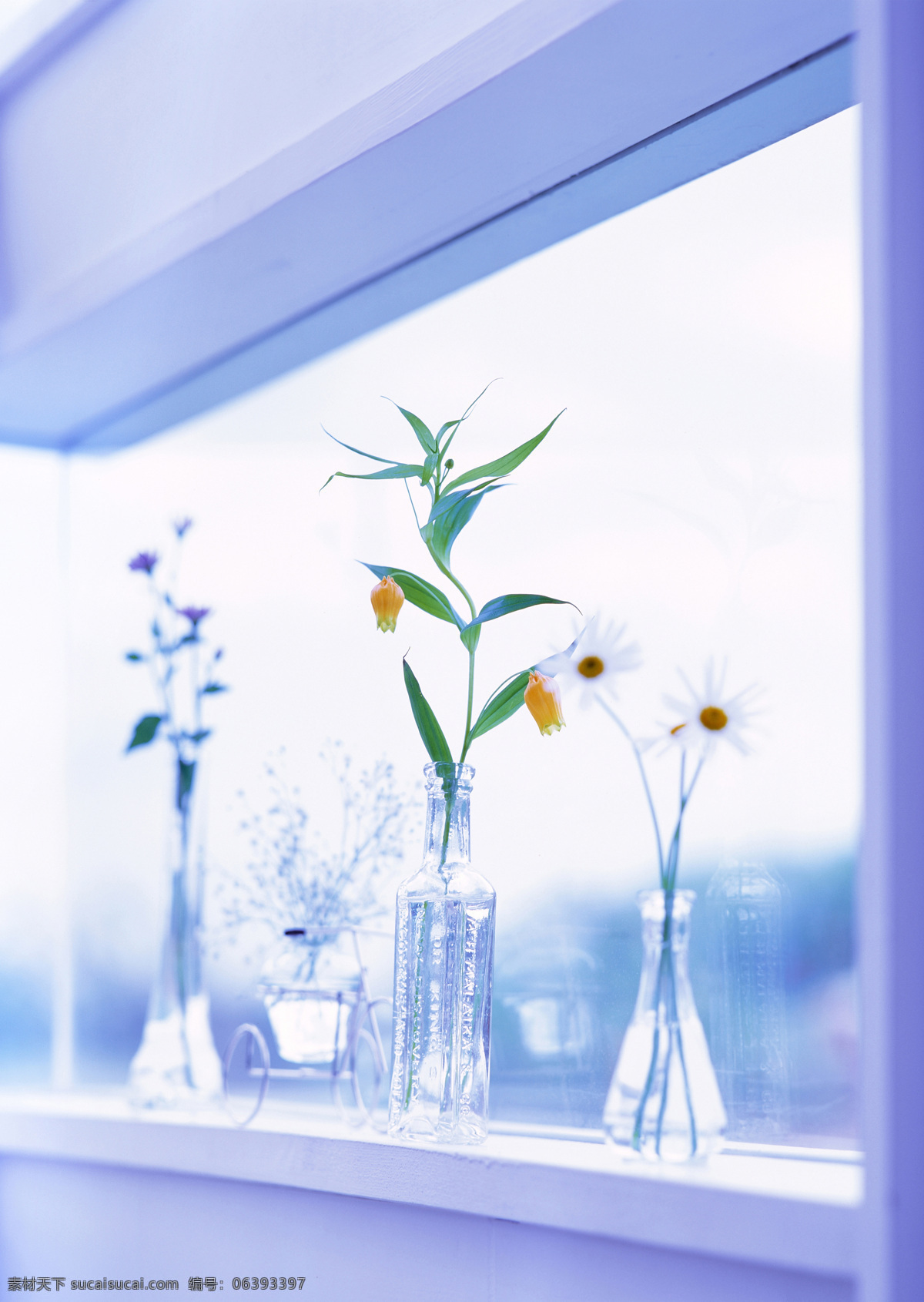 放在 窗台 上 鲜花 室内摄影 静物摄影 物品 安静 唯美 阳光 朦胧 水晶花瓶 雏菊 室内设计 环境家居