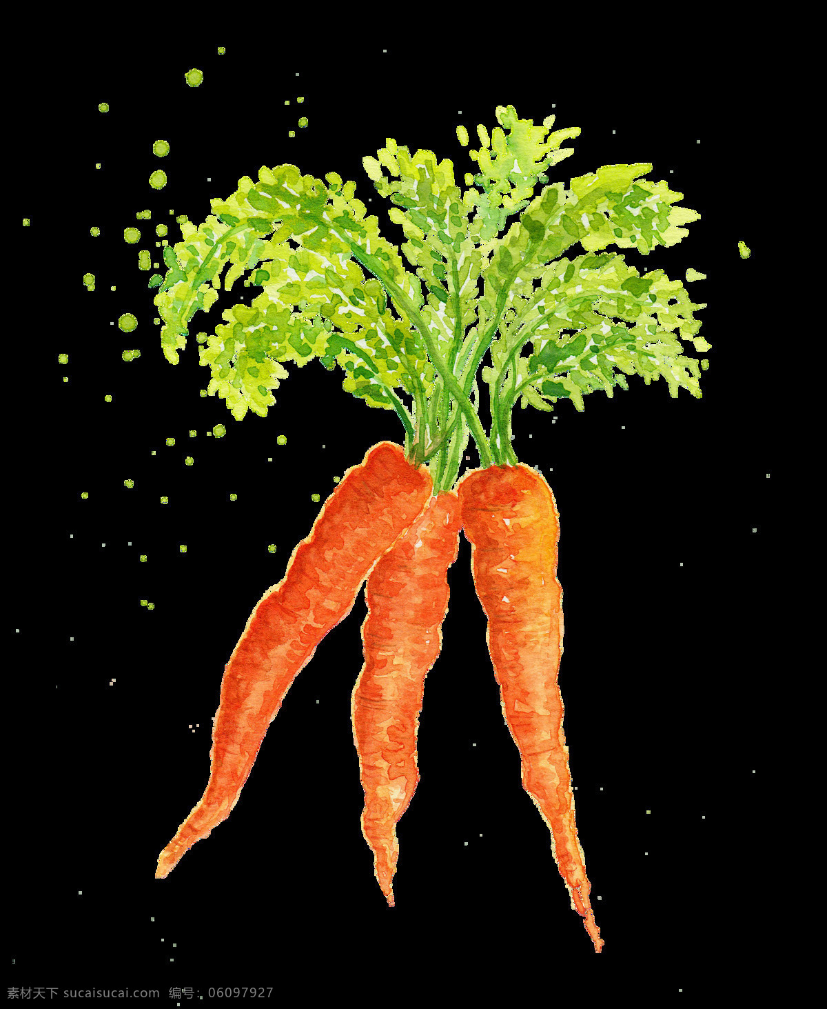 水彩 蔬菜 胡萝卜 红色 兔子 矢量素材 装饰图案 设计元素 高清 广告装饰图案 创意设计