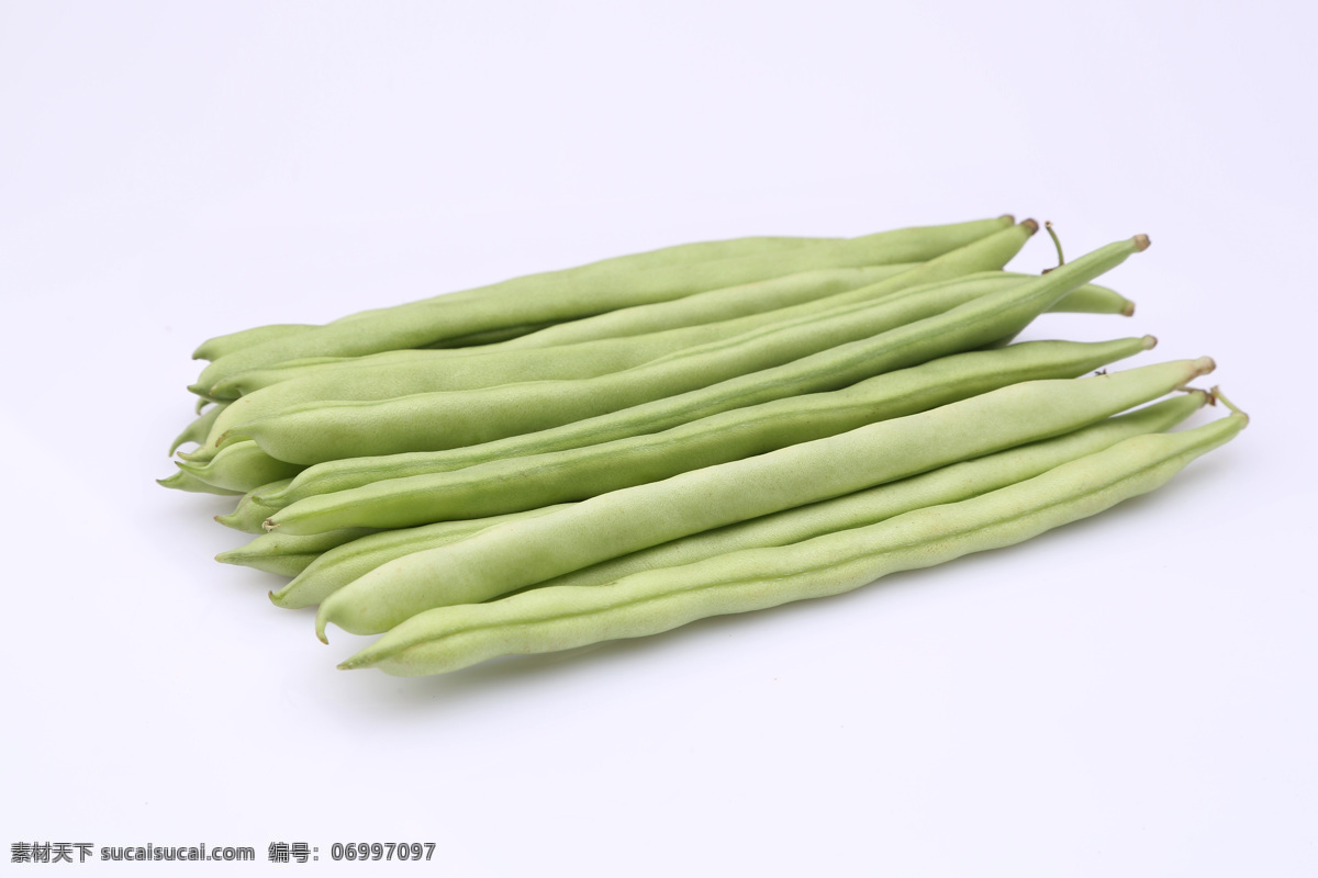 四季豆 架豆 芸豆 刀豆 扁豆 豇豆 碧丰 青岛架豆 白花四季豆 芸丰 花皮菜豆 传统美食 生物世界 蔬菜