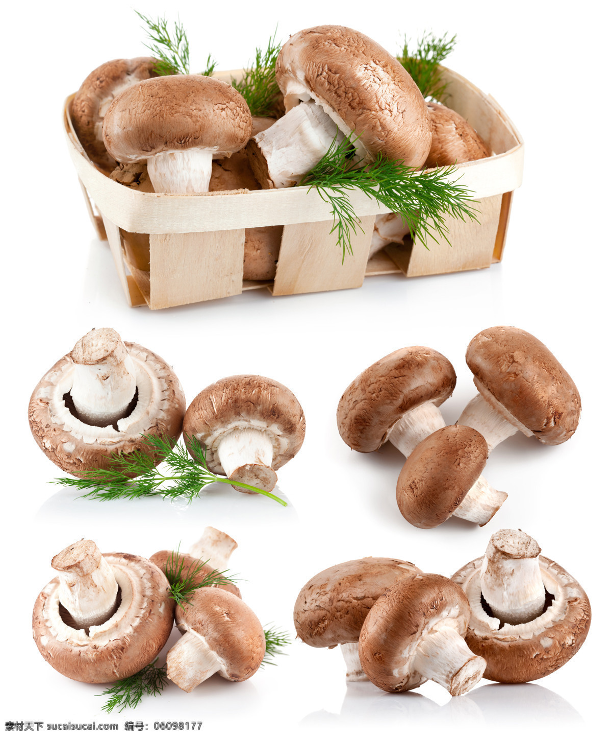 香菇 香菇图片素材 香菇图片下载 蘑菇 食物 蔬菜 餐厅美食 食材原料 水果蔬菜 餐饮美食 白色