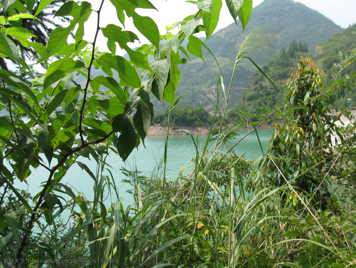 绿树免费下载 湖水 旅游摄影 绿树 青山 群山 摄影图 水库 小草 浙江 旅游风景 金华 武义 三笋坑 风景 生活 旅游餐饮