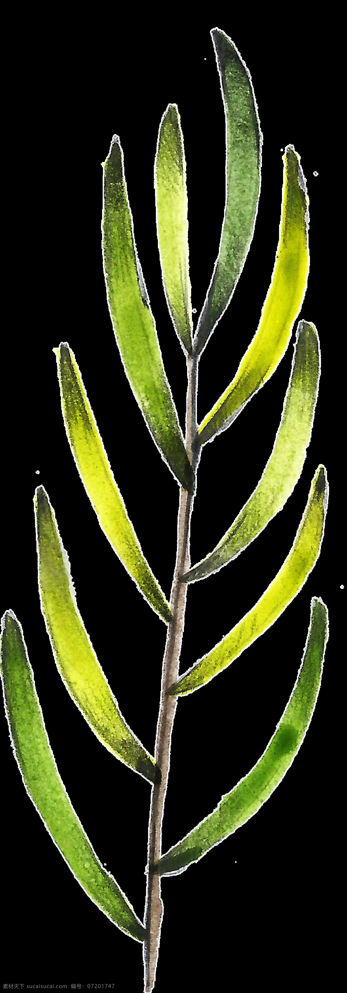 金黄 枝叶 透明 装饰 绿色 免扣素材 透明素材 植物 装饰图案