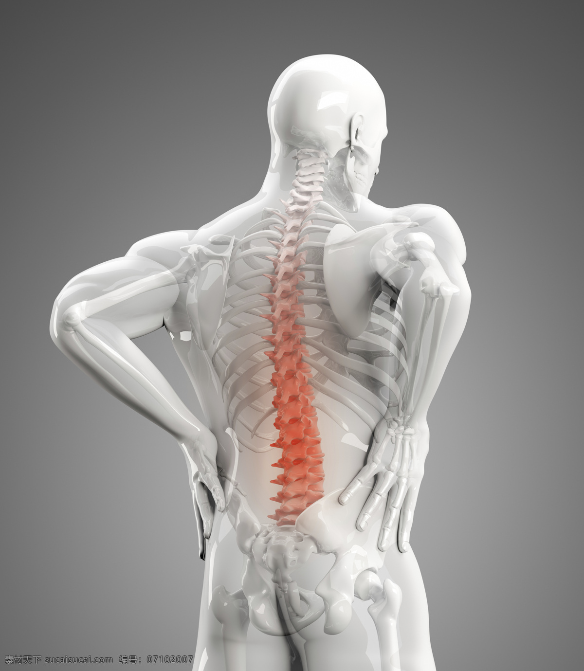 人体 腰椎 图像 医疗主题 透视图 x光 医疗护理 现代科技