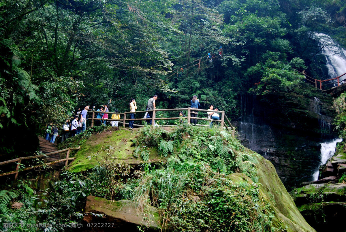 碧峰峡 植物 木梯 山水 云梯 石头 水流 四川雅安 绿树 自然风景 旅游摄影