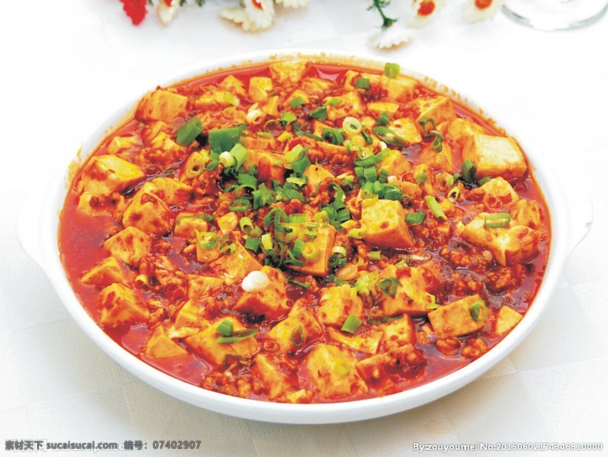 豆腐 烧豆腐 麻辣豆腐 家常豆腐 红烧豆腐 香辣豆腐 麻婆豆腐盖饭 麻辣豆腐饭 秘制豆腐 菜品图 餐饮美食 传统美食