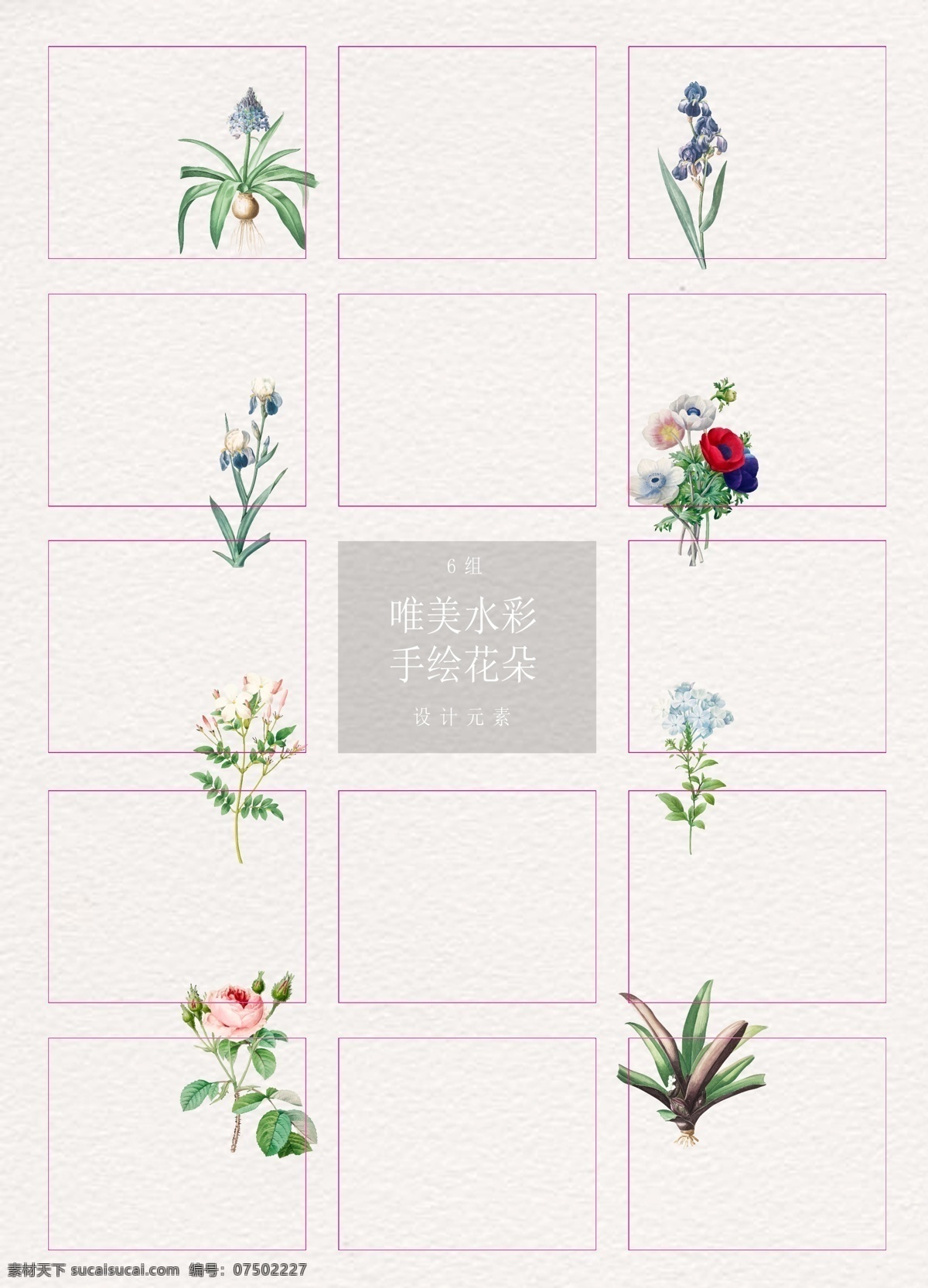 水彩 绘 鲜花 植物 花卉 矢量图 小清新设计 水彩绘 ai元素 玫瑰