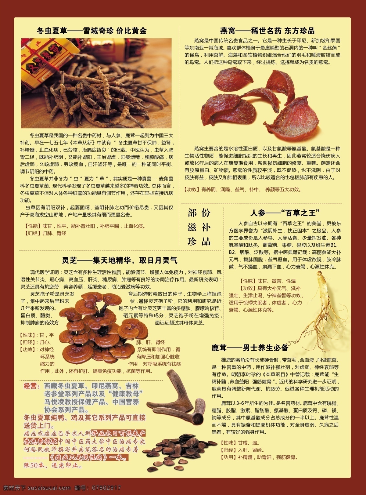 滋补堂 人参 冬虫夏草 燕窝 灵芝 鹿茸 补品 dm 单页 开业 珍品 山珍海味 dm宣传单 广告设计模板 源文件