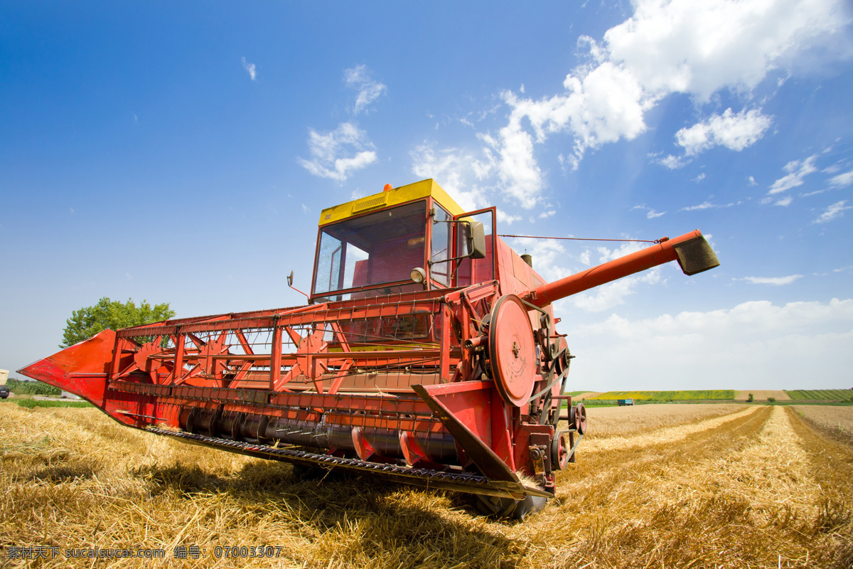 麦地 里 收割机 麦穗 麦田 麦子 小麦 秋收 秋天麦田风景 农业生产 现代科技