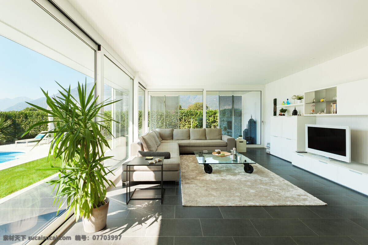 宽敞明亮 客厅 客厅设计 地毯 沙发 排忧解难 绿色植物 落地窗 室内设计 环境家居