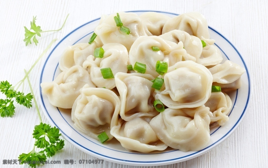 唯美饺子 唯美 美食 美味 好吃 营养 健康 食物 食品 饺子 餐饮美食 传统美食