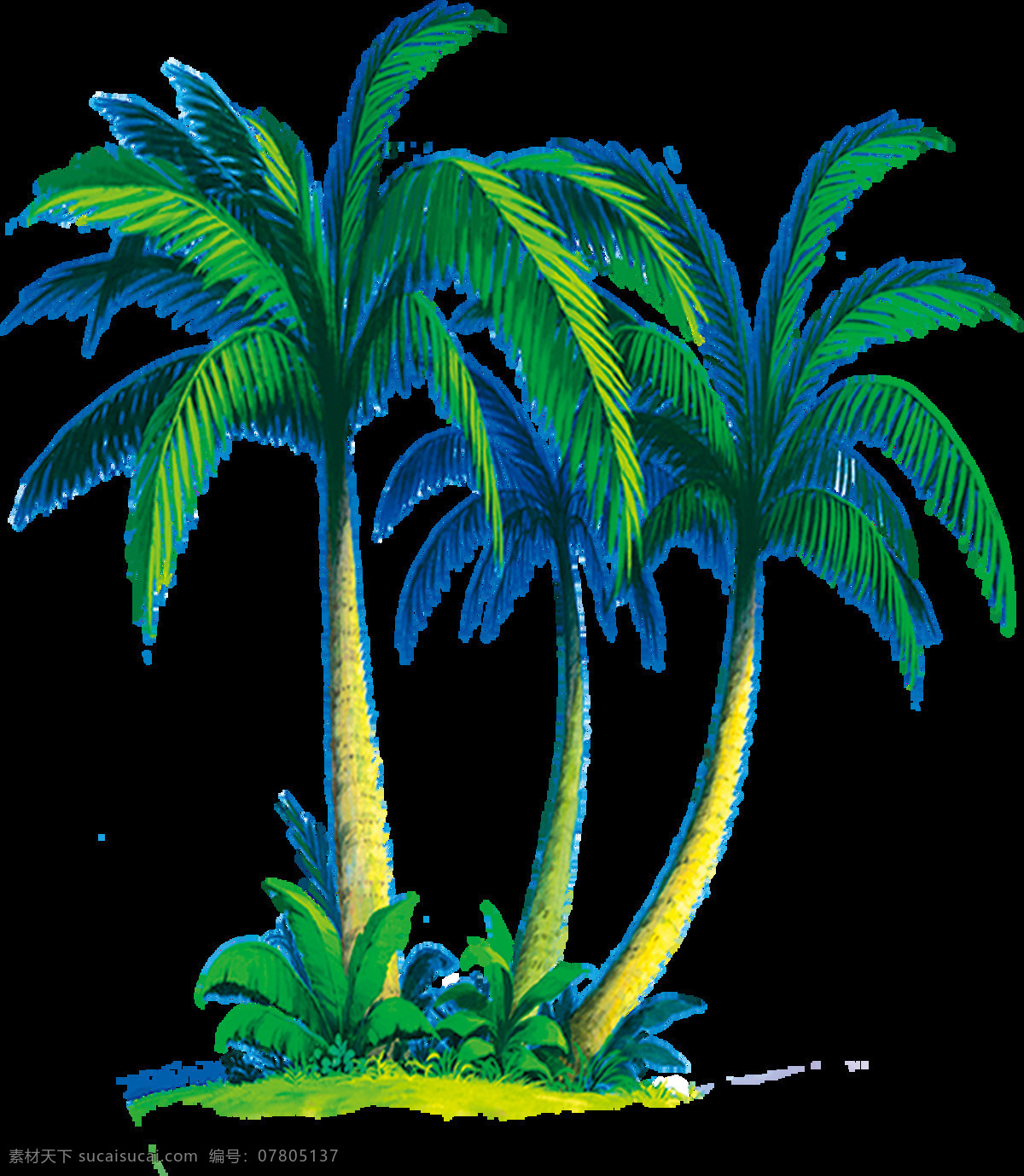 热带 椰子树 透明 粗壮 树木 椰子 免扣 抠图专用 装饰 设计素材 淘宝素材 海报设计装饰 装饰图案
