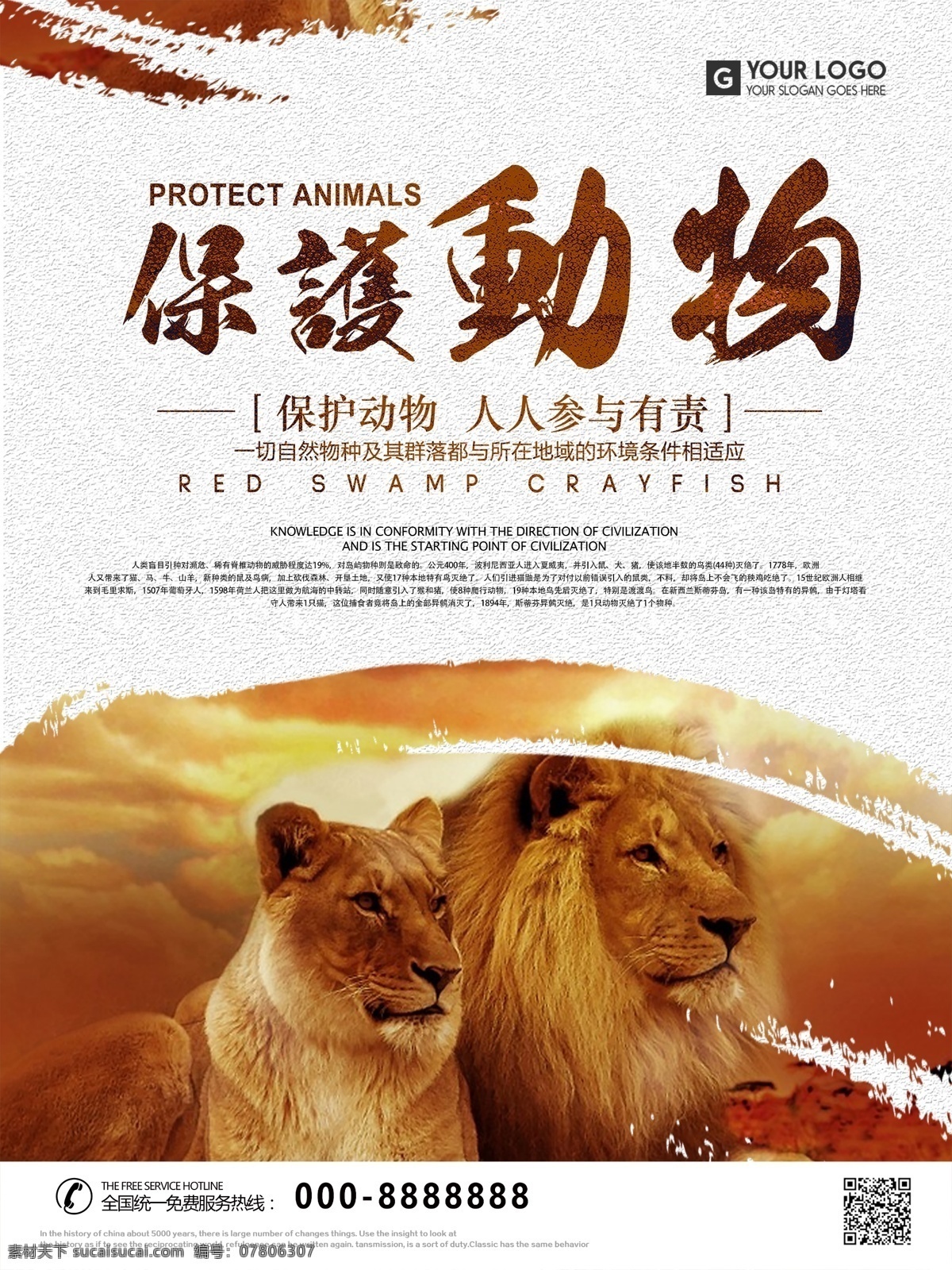 大气 保护 动物 公益 海报 保护动物 公益海报 狮子 老虎 沙漠