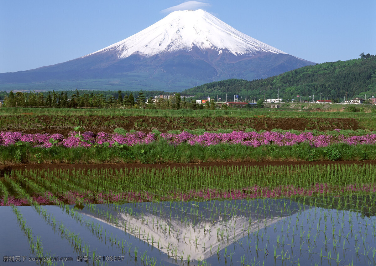 富士山 日本 雪山 旅游 国外旅游 37樱花 自然景观 自然风景 蓝色