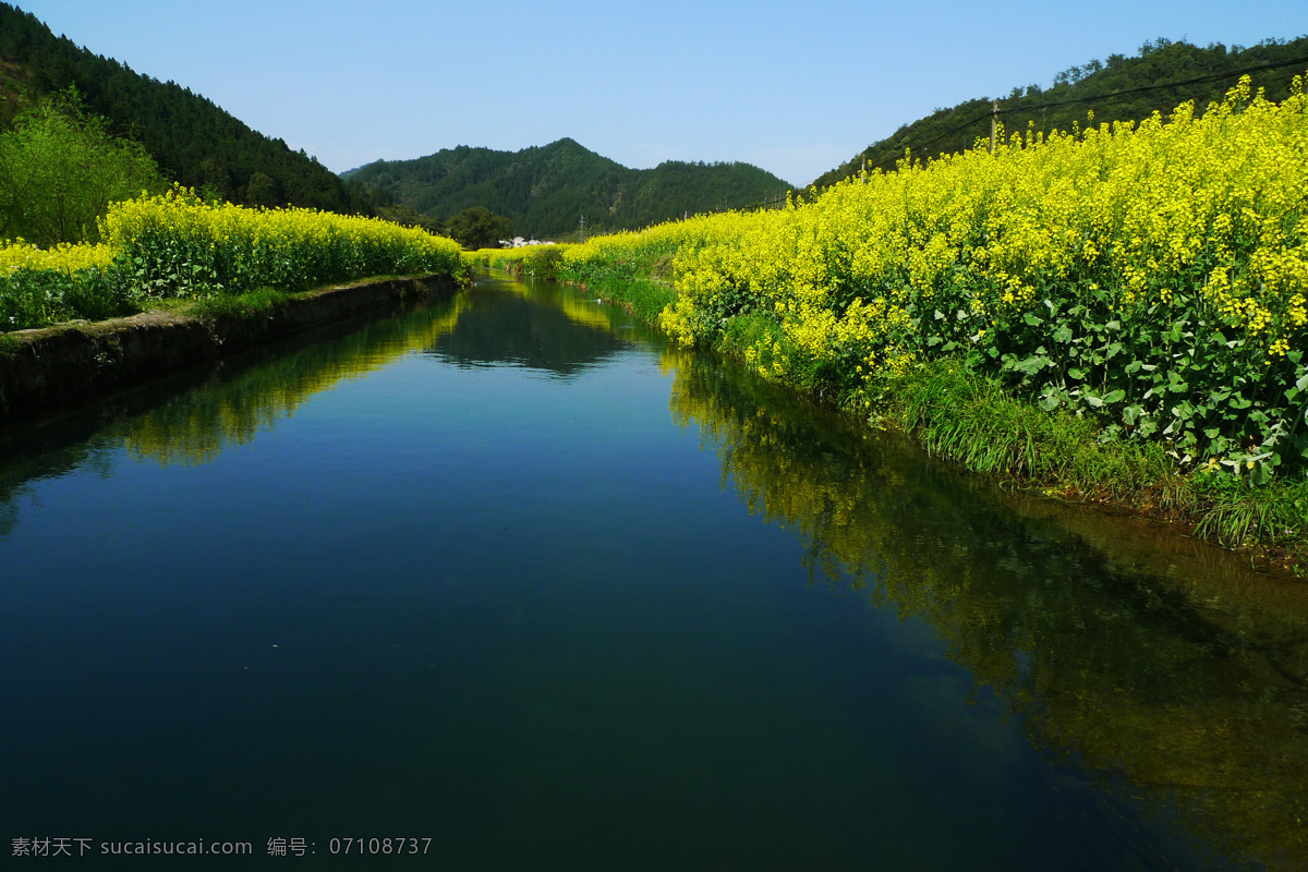婺源 婺源风光 油菜花 婺源油菜花 婺源旅游 江西婺源 江西旅游 旅游摄影 国内旅游 黑色