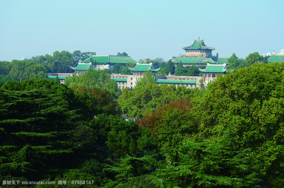 武汉大学风景 景色 风景 自然风景 自然景观