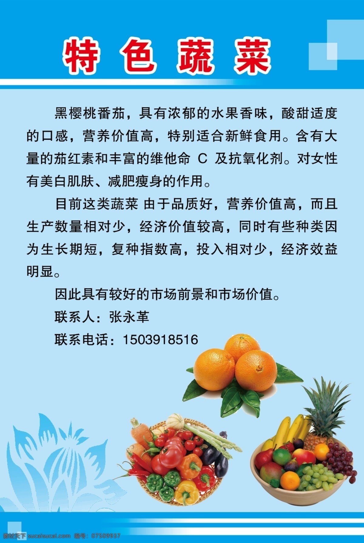 特色 蔬菜 番茄 广告设计模板 水果 源文件 展板模板 特色蔬菜 黑樱桃 维他命c 设计文件 风景 生活 旅游餐饮
