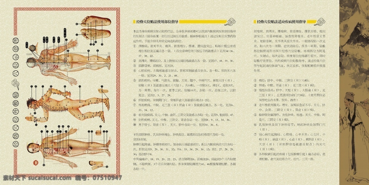 dm宣传单 保健 广告设计模板 经络 经络图 说明书 穴位 穴位图 中医 折页 模板下载 中医经络折页 中医经络 养生 中医养生 中国保健 经脉 经脉图 源文件 psd源文件 餐饮素材