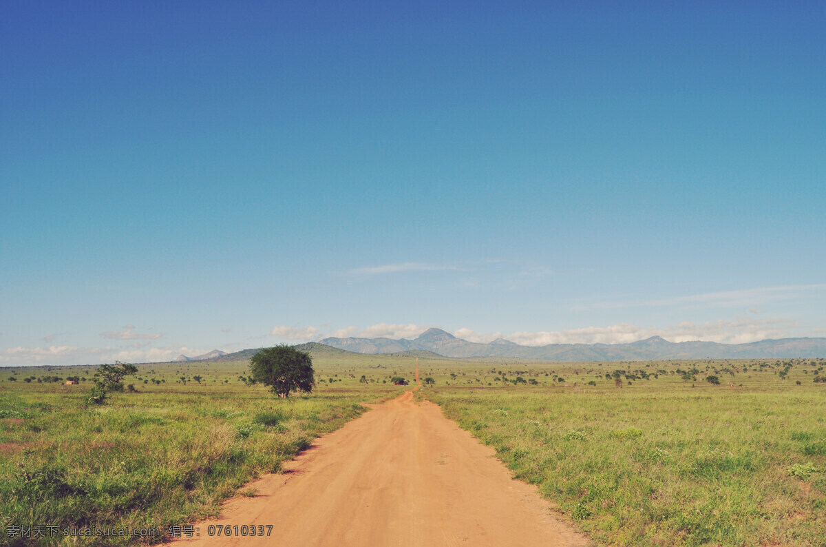 非洲草原 非洲 草原 大陆 野外 道路 泥路 大路 自然景观 山水风景