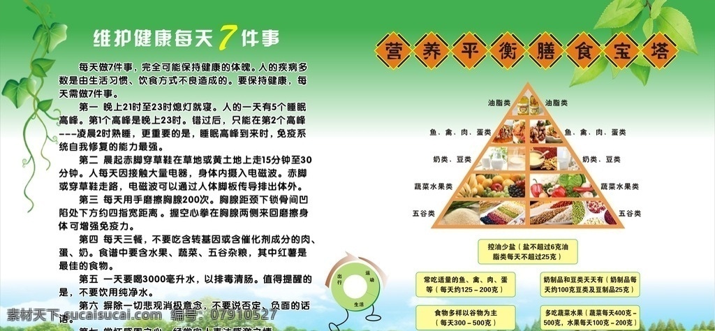 营养厨房塔 营养 厨房 食物塔 平衡 摄取
