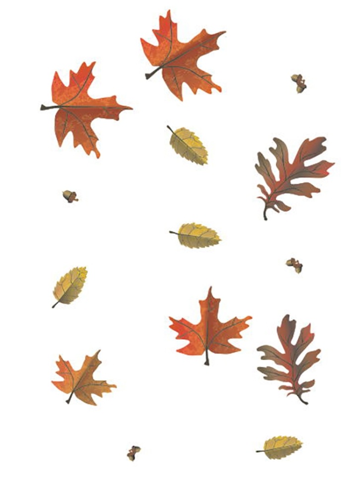 秋风树叶 树叶 秋季 黄色 枯叶 榛子 底纹边框 其他素材