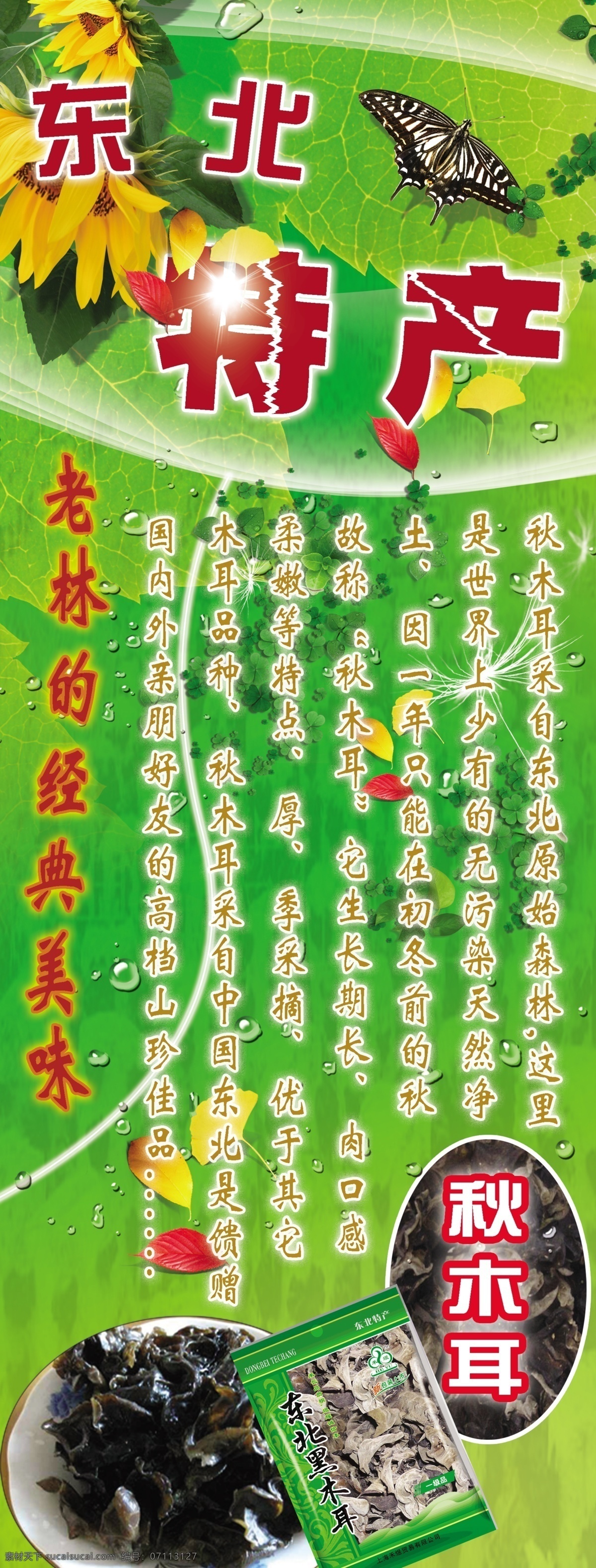 广告设计模板 绿色背景 特产 易拉宝 源文件 展板模板 展架 东北 x 模板下载 东北特产 黑木耳 x展板设计