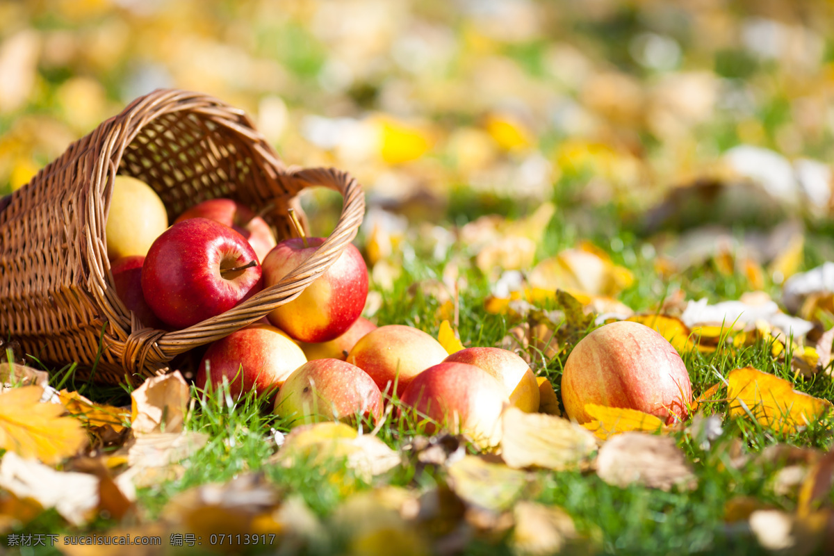 篮子苹果摄影 草地 苹果 水果 食物 美食 美食摄影 苹果素材 中华美食 餐饮美食 黄色