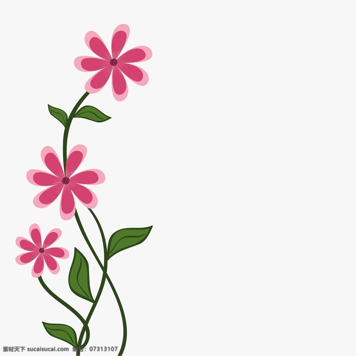 摘要 背景 美丽 花卉 白色