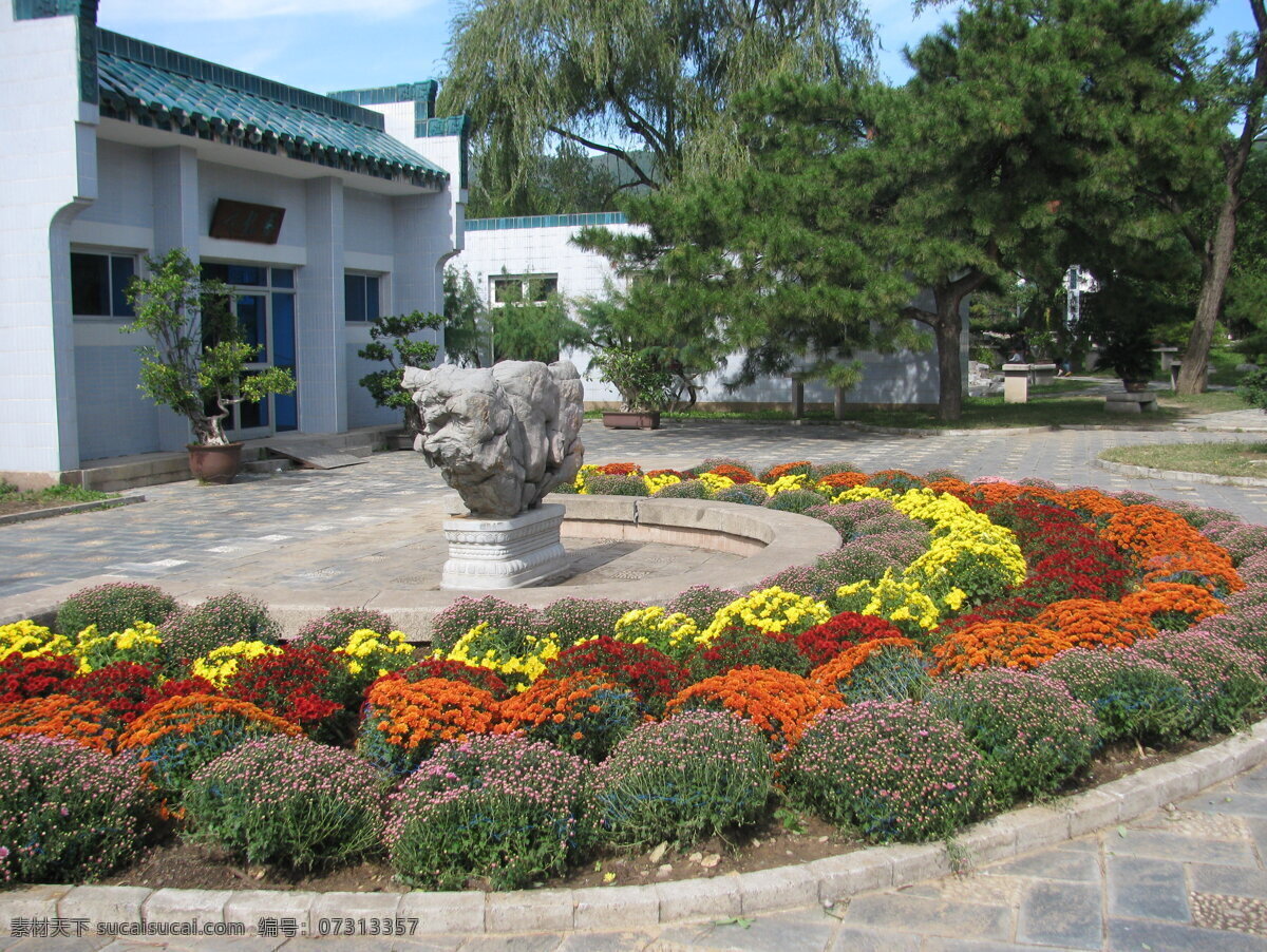 主题花坛 植物园美景 菊花 小路 蓝天白云 花坛 园林美景 绿树 绿地 树木 草地 园林景观 公园美景 园林风景 花坛造型 花儿 花卉 花草 植物 园林绿化 绿化景观 花架花坛 建筑园林 园林建筑