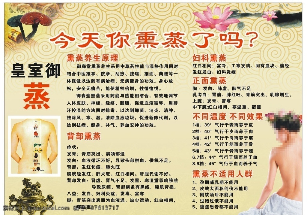 熏蒸图案 重要熏蒸 灵芝 熏蒸桶 人物熏蒸 李时珍 山水墨画 养生广告 边框 腊梅 中药熏蒸广告 熏蒸宣传 美女 背景 矢量 展板模板