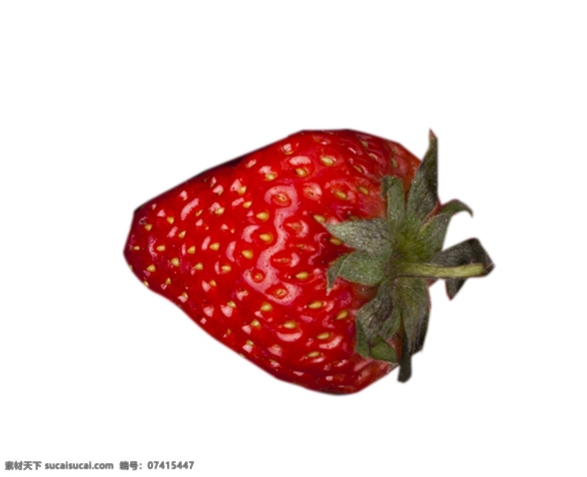 水 润 汁 新鲜 草莓 实物拍摄 水润多汁 梨免抠 摆拍 植物 水果 甘甜 健康食品 实物 食物 美味