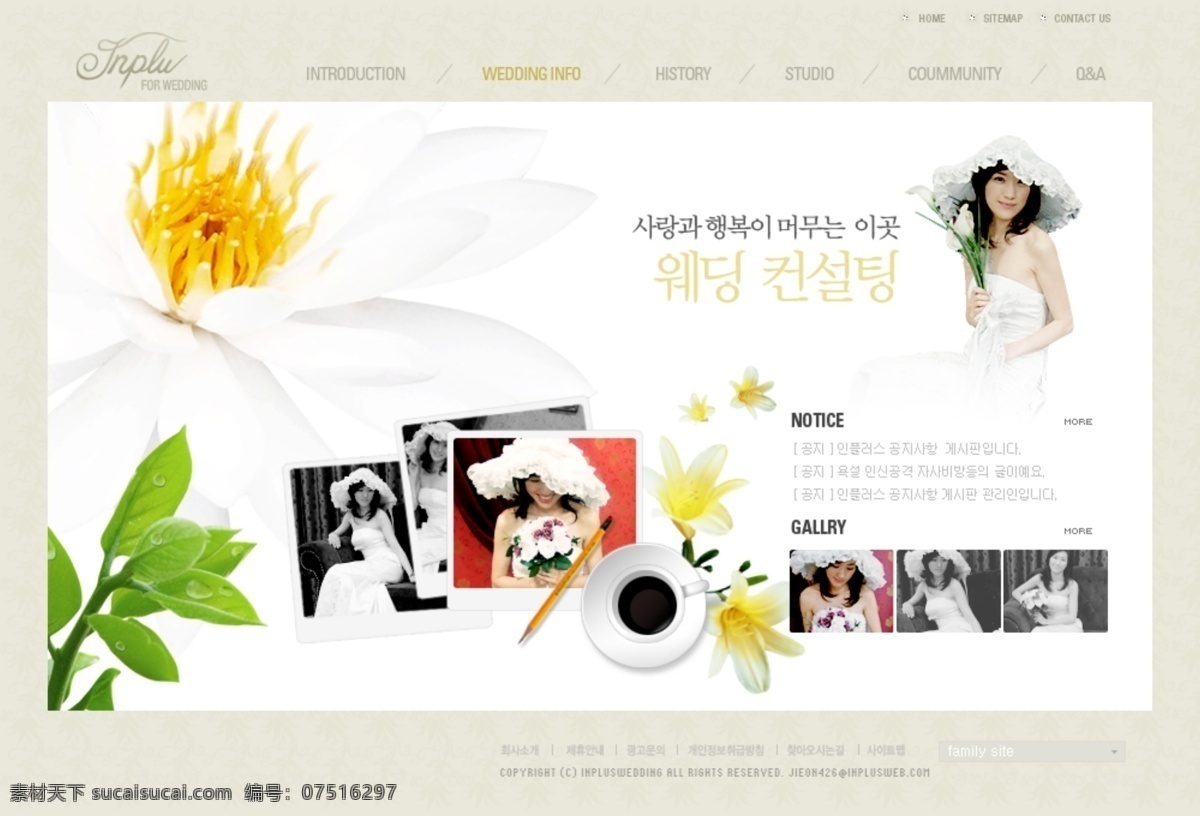 幸福 婚纱 主题 网页模板 韩国风格 婚纱主题 摄影网页模板 网页素材