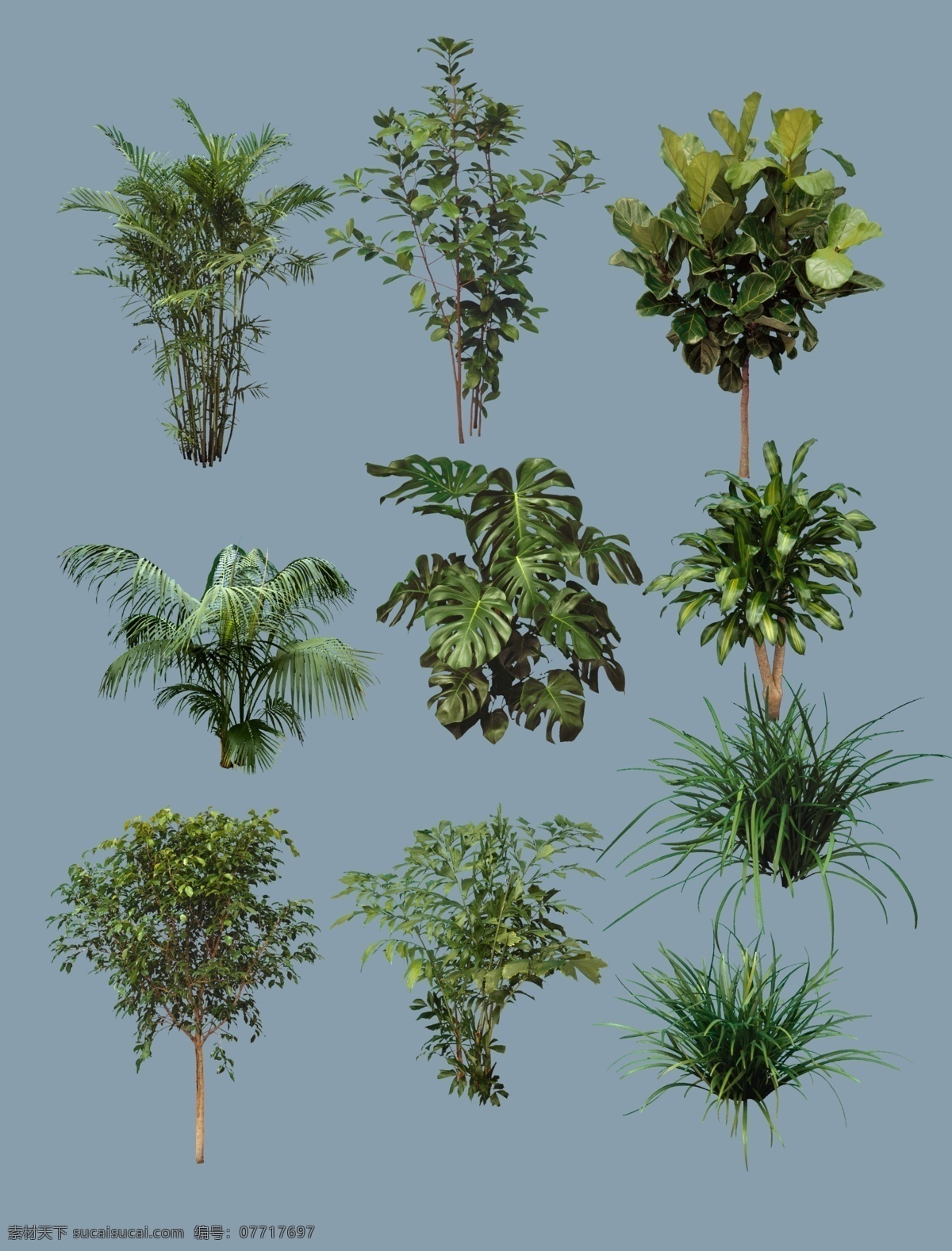 鸡蛋花 草丛 后期素材 ps植物 灌木 花草 ps后期素材 写实 树木 植物 近景 绿篱 棕榈 玫瑰花 牡丹花 鲜花 红花 草地 分层