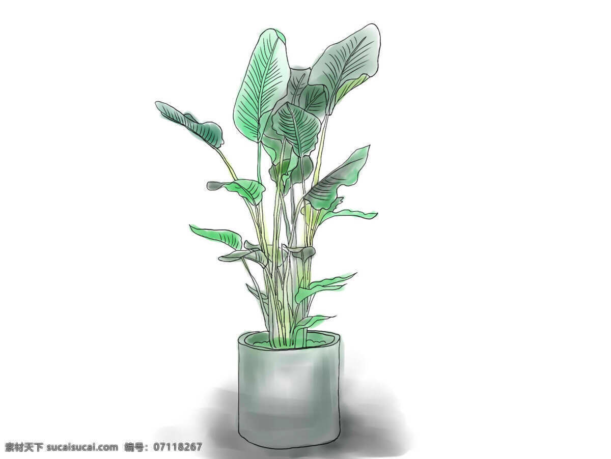绿植 线条 素描 卡通盆栽 卡通植物 简笔画 植被 矢量 绿色 盆栽 植物 多肉植物 底纹边框 条纹线条 动漫动画 风景漫画