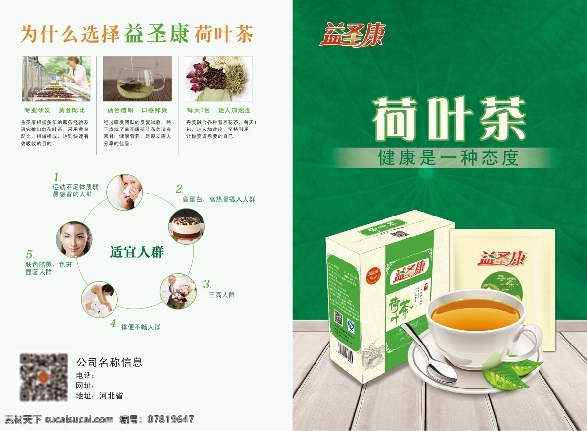 荷叶茶宣传页 荷叶 茶宣 传页 白色