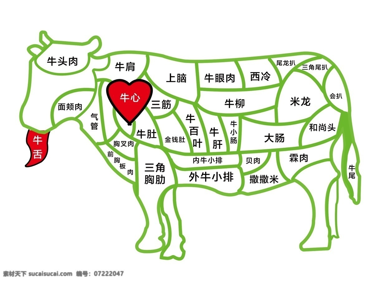 牛肉解析图 牛 牛肉 牛肉分割图 牛肉粉 牛羊肉 分层