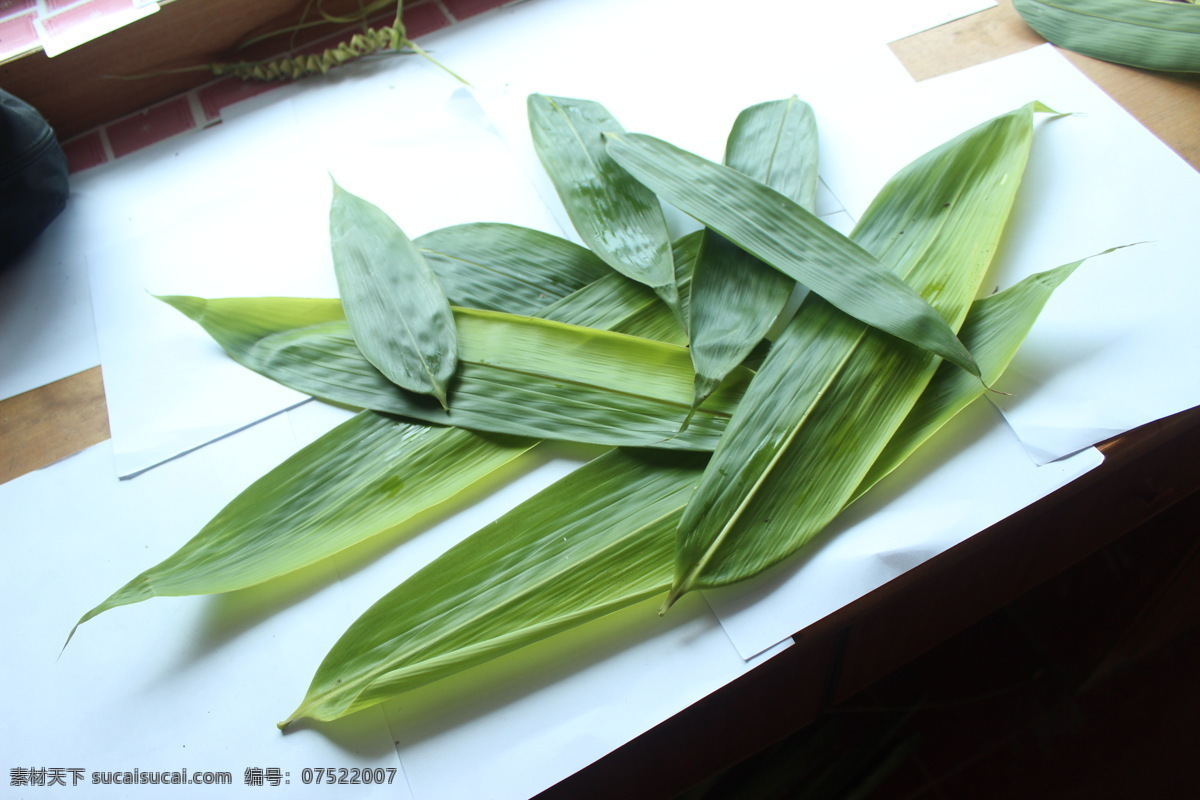 粽叶 竹叶 箸叶 麻竹叶 粽子叶 粽粑竹叶 粽叶素材 竹叶素材 树木树叶 生物世界