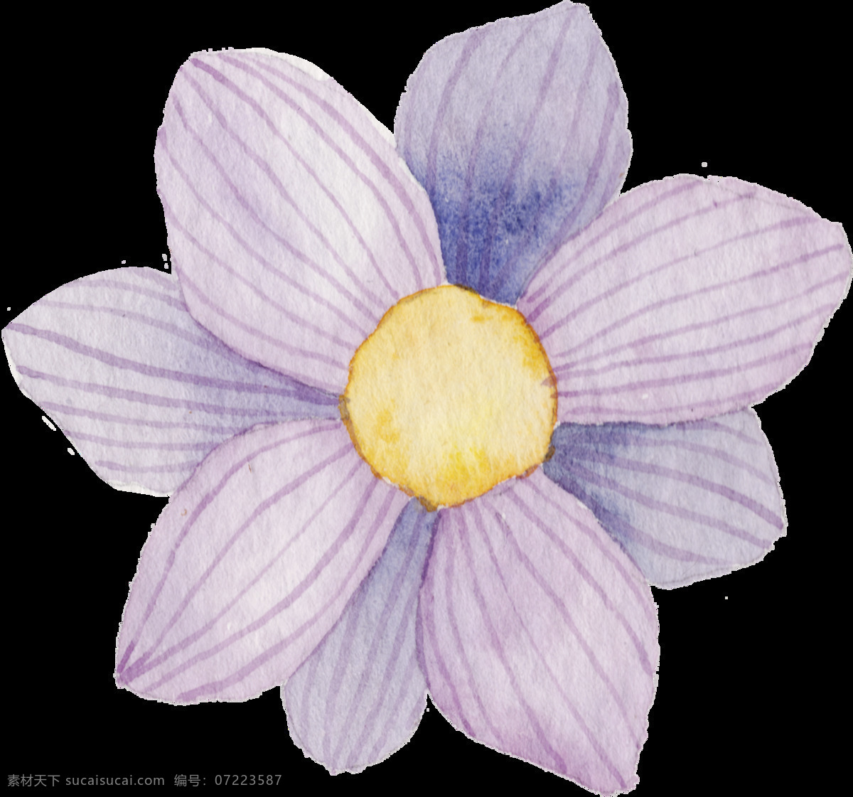 手绘 淡紫色 花卉 透明 花瓣 花纹 黄色 立体 免扣素材 水彩 透明素材 装饰图案