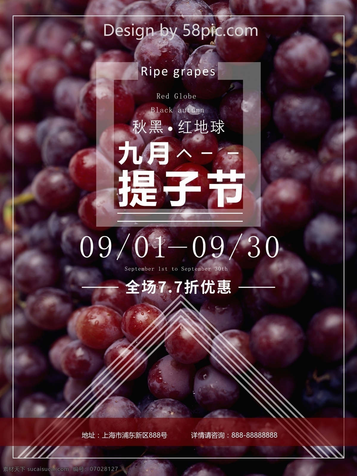 九月 提子 促销活动 海报 美食 水果 葡萄 紫色 文艺 简约 排版 水果铺 超市 优惠 可口 打折 促销 活动
