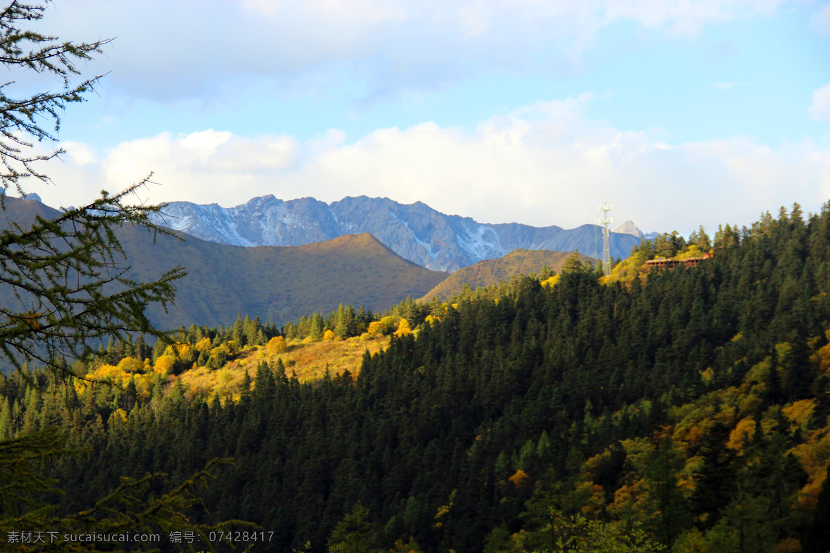 森林树木 雪山 风景 天空 蓝天白云 度假 美景 自然景观 自然风景 旅游摄影 旅游森林 树木 山水风景 风景图片