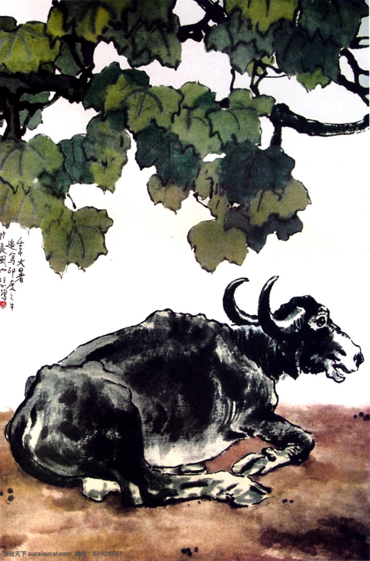 印度牛 动物画 中国画 设计素材 动物画篇 中国画篇 书画美术 白色