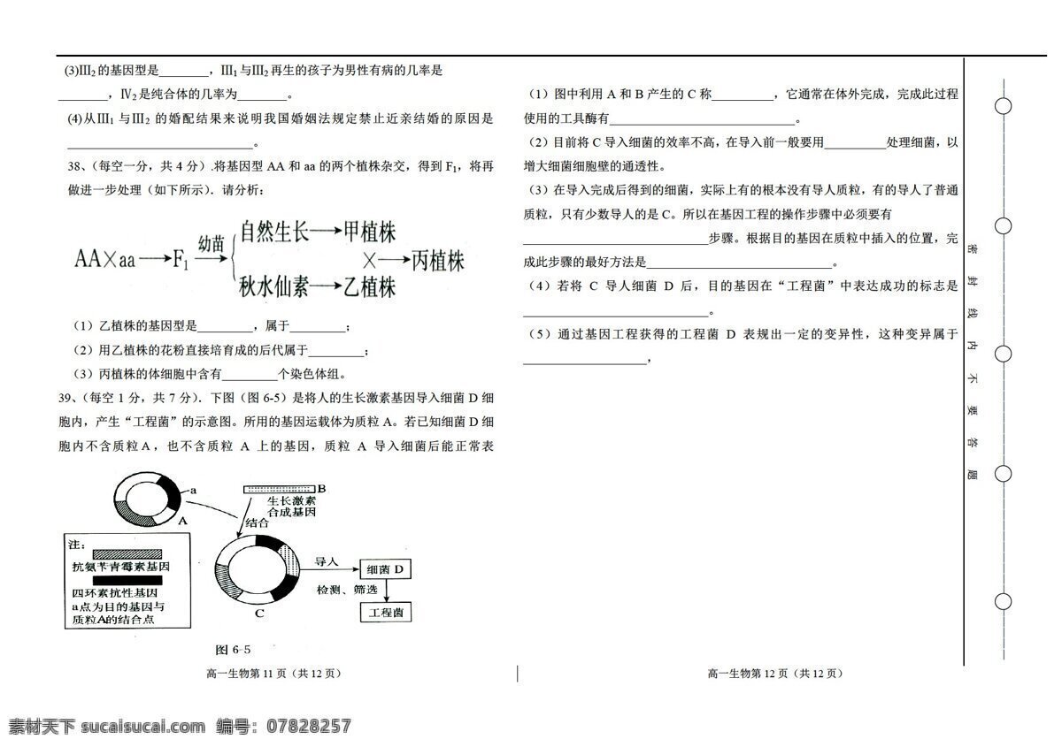 生物 人教 版 高一 二 学期 次 月 考试卷 人教版 必修 遗传 进化 试卷