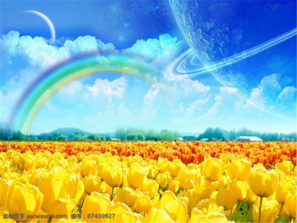 创意 彩虹 花卉 背景 图 漂亮 花朵 黄色