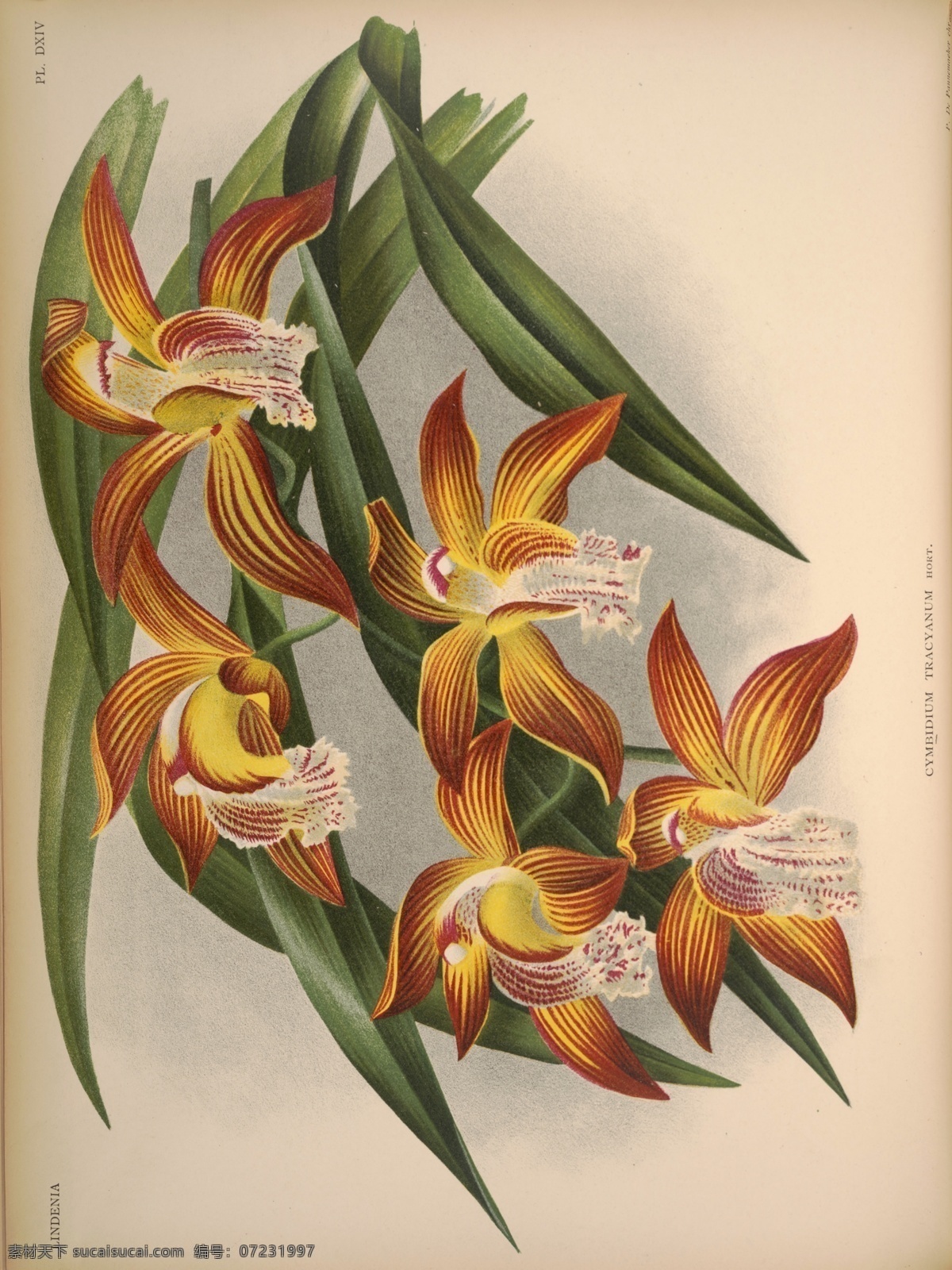 装饰画 欧美装饰画 手绘花卉 欧美画 植物 绘画 写实 卧室装饰画 餐厅装饰画 新中式水墨 三联画 风景装饰画 巨幅装饰画 山水装饰画 意境装饰画 大厅装饰画 背景墙装饰画 电视装饰画 墙面装饰画 背景墙 室内广告设计