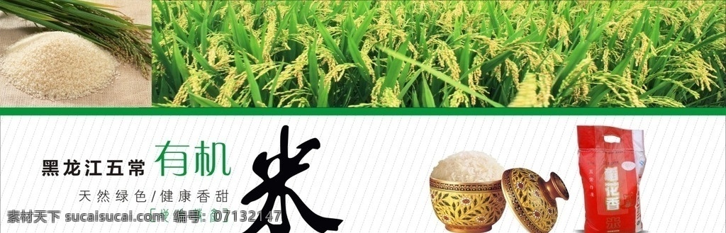 稻花香米海报 稻花香 黑龙江 五常 米 稻花香米 大米 稻穗 五谷杂粮 精品米
