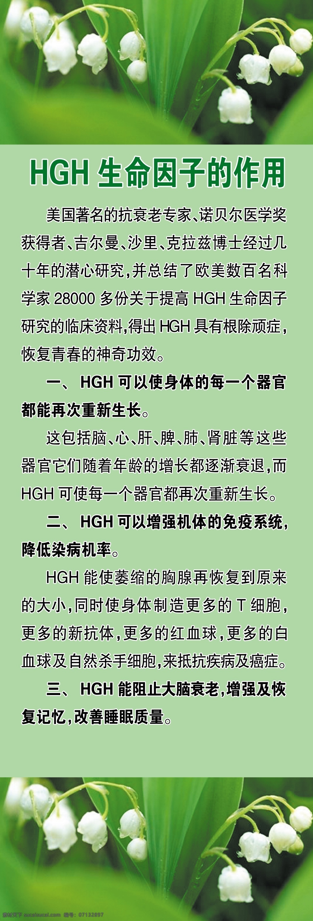 hgh 易拉宝 抗衰老 花 绿色背景 x展架 生命因子 展板 展板模板 广告设计模板 源文件